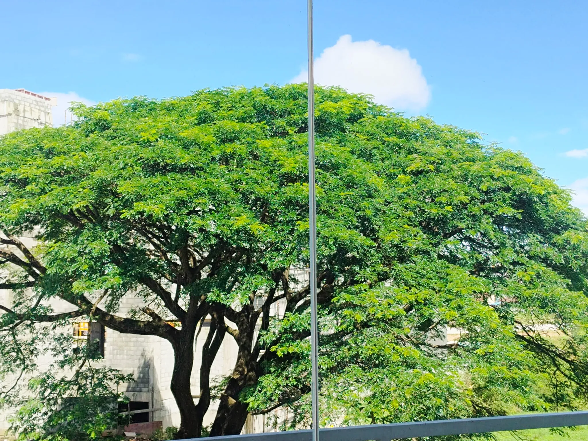 Clouds over the mountains